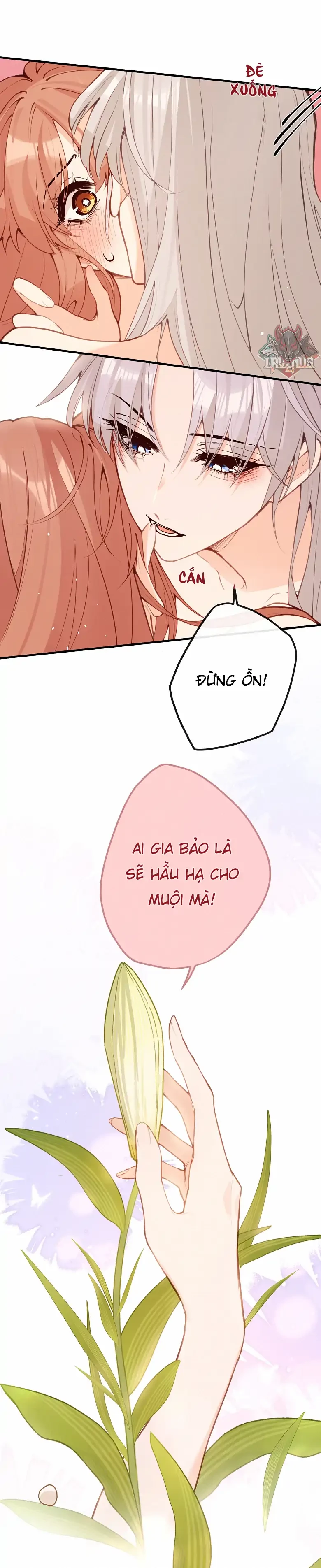 Nghe Nói Thái Hậu Với Thái Hậu Là Thật Sao? Chapter 39 - 32