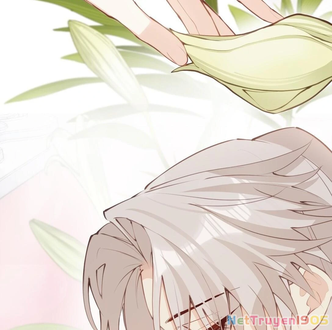 Nghe Nói Thái Hậu Với Thái Hậu Là Thật Sao? Chapter 40 - 2