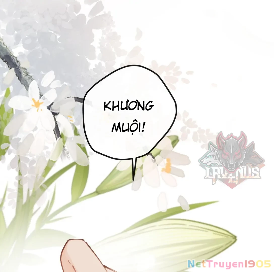 Nghe Nói Thái Hậu Với Thái Hậu Là Thật Sao? Chapter 40 - 19