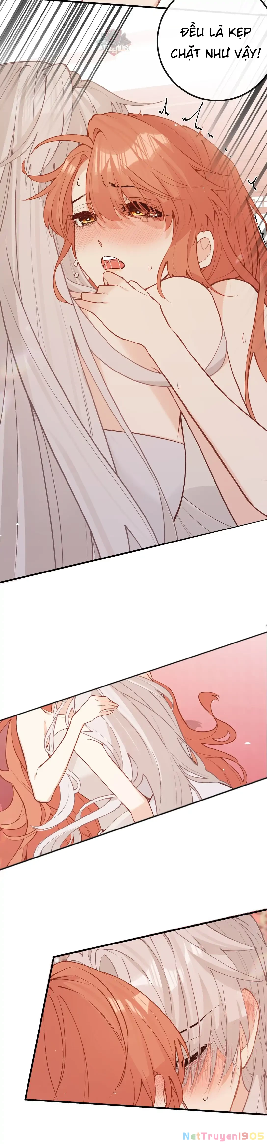 Nghe Nói Thái Hậu Với Thái Hậu Là Thật Sao? Chapter 40 - 35