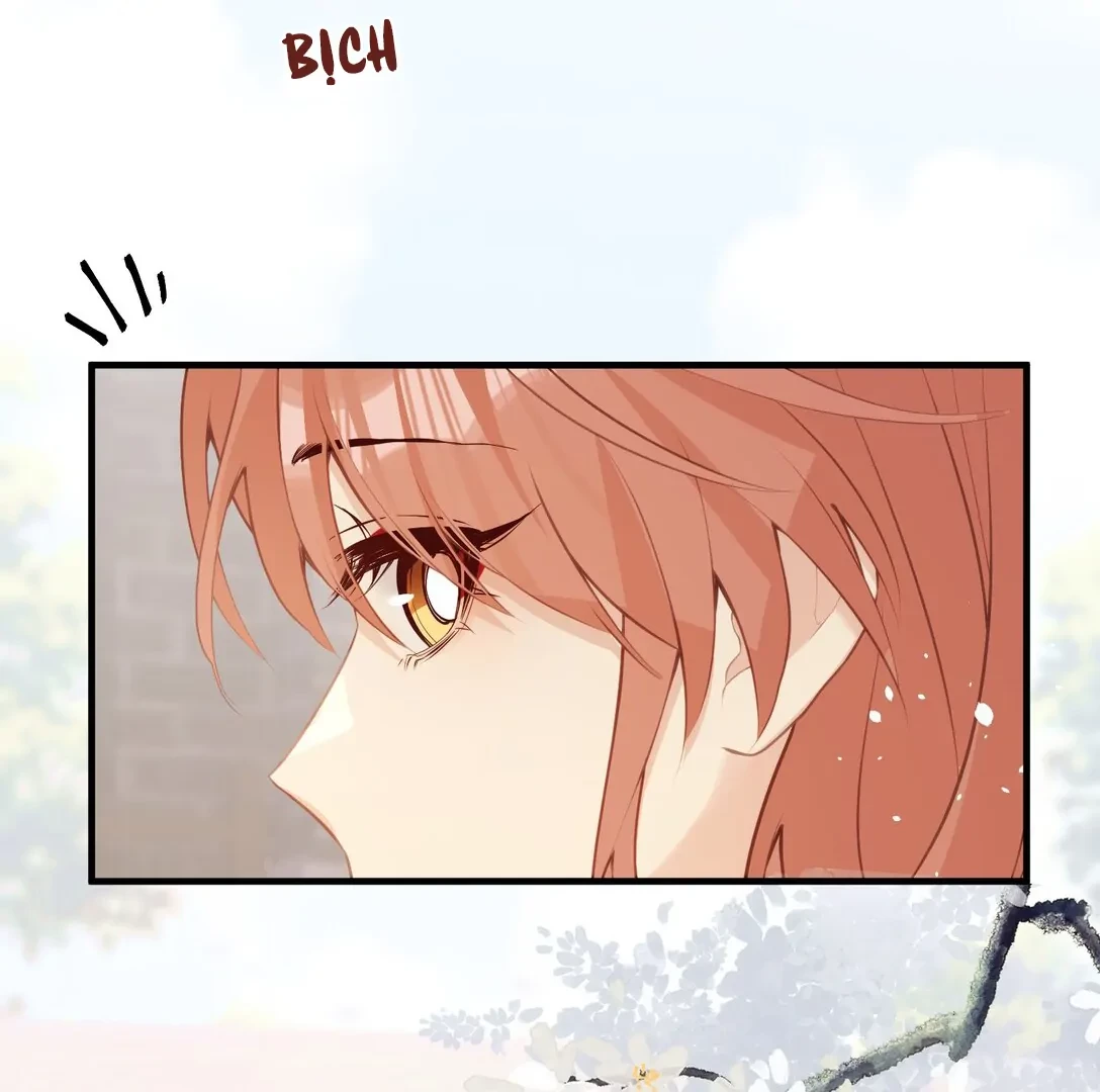 Nghe Nói Thái Hậu Với Thái Hậu Là Thật Sao? Chapter 41 - 43