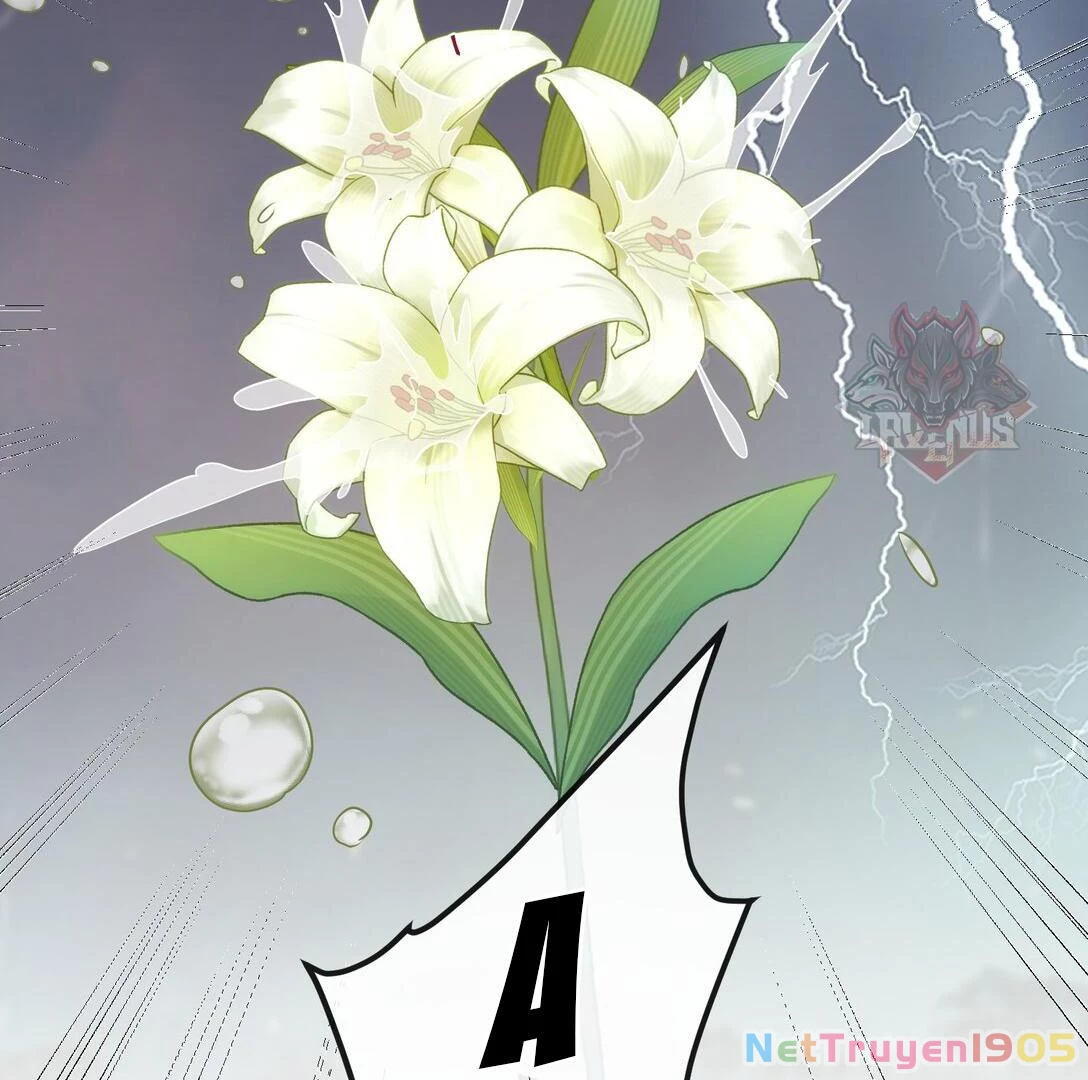 Nghe Nói Thái Hậu Với Thái Hậu Là Thật Sao? Chapter 42 - 33