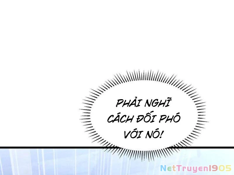 Mạt Thế Cẩu Sinh: Gián Giúp Ta Chồng Buff Chapter 53 - 12