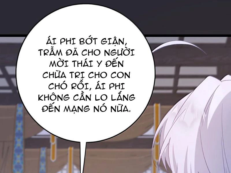 Phá thân của nữ Hoàng Đế Chapter 51 - 109
