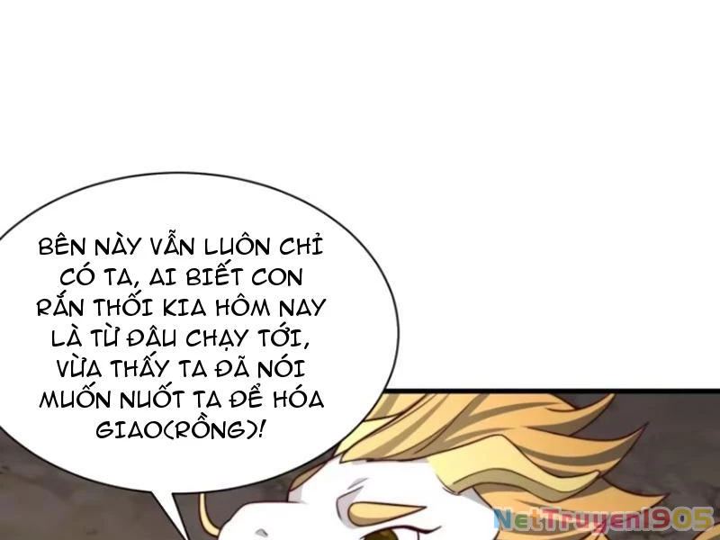 Sau khi thổ lộ với mỹ nữ tông chủ, ta vô địch! Chapter 61 - 74