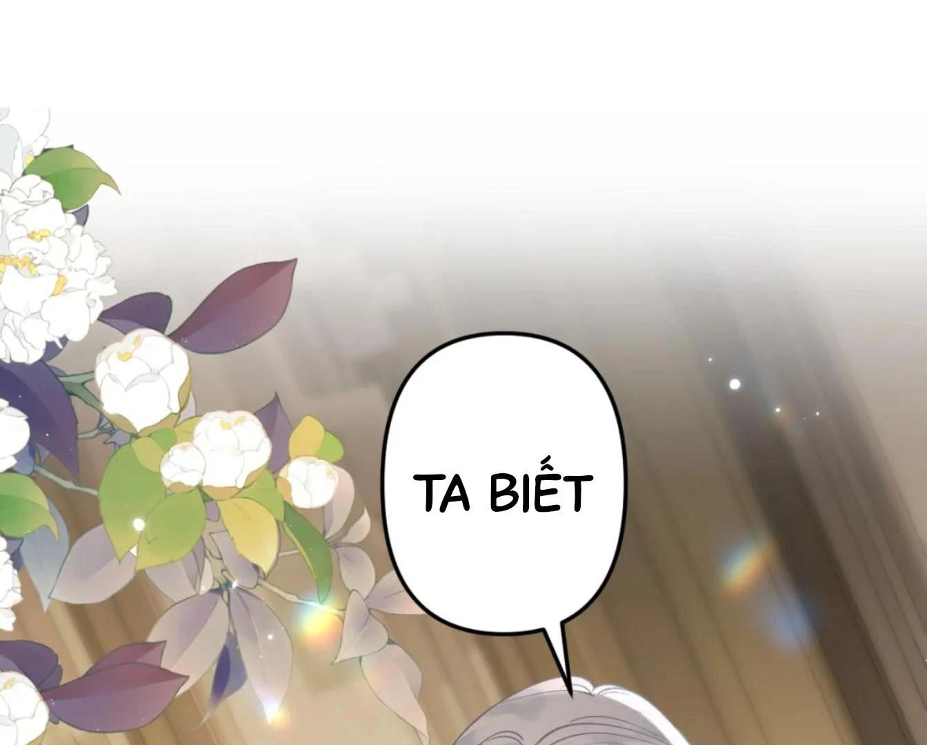 Đông Hải Tìm Mỹ Nhân Chapter 55 - 72