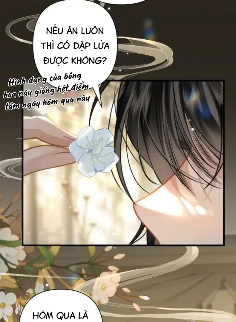 Đông Hải Tìm Mỹ Nhân Chapter 56 - 41