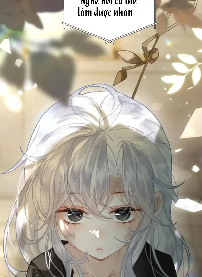 Đông Hải Tìm Mỹ Nhân Chapter 56 - 63