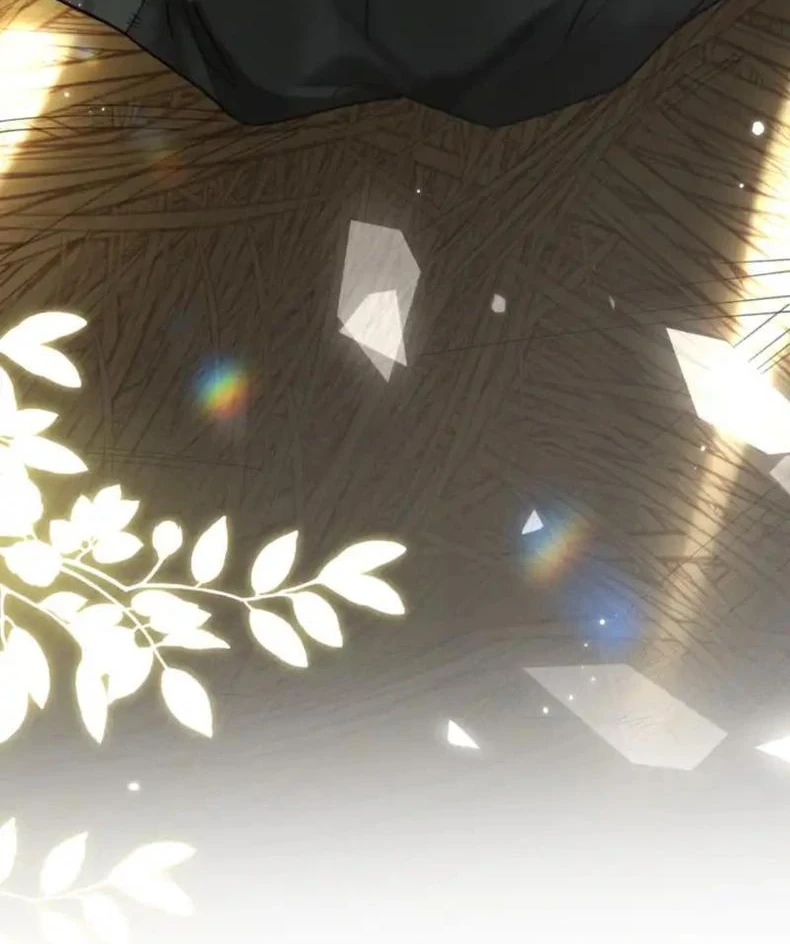 Đông Hải Tìm Mỹ Nhân Chapter 56 - 65