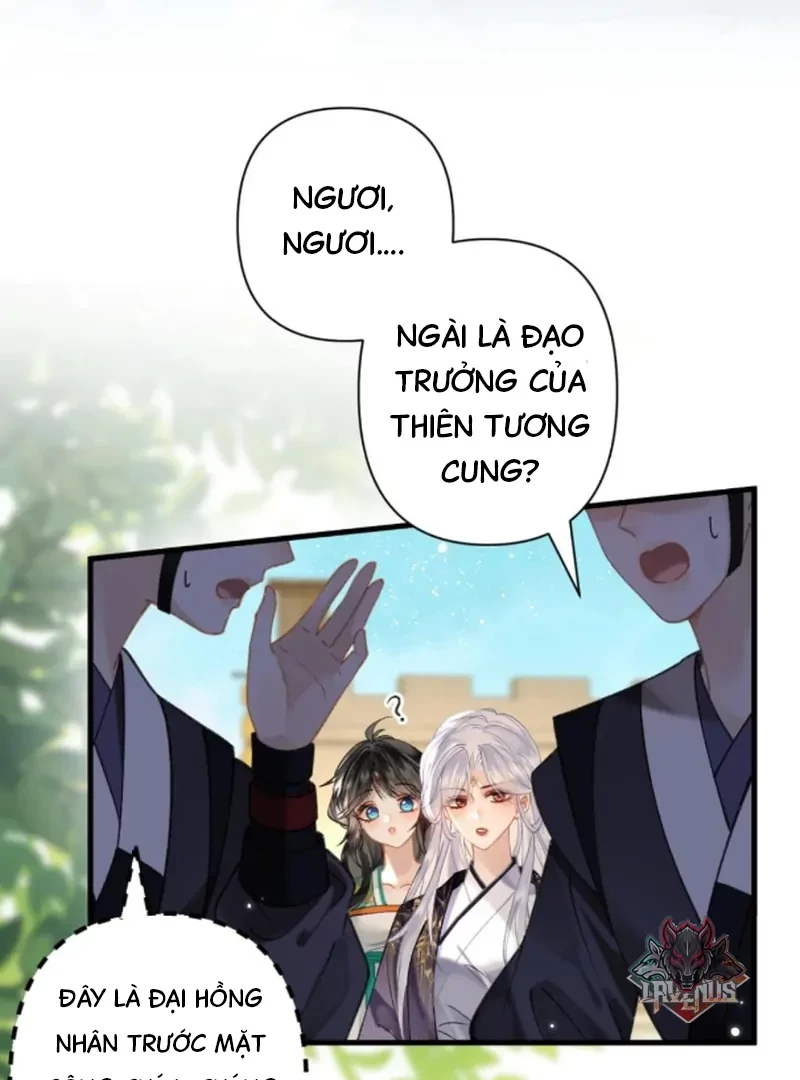 Đông Hải Tìm Mỹ Nhân Chapter 57 - 31