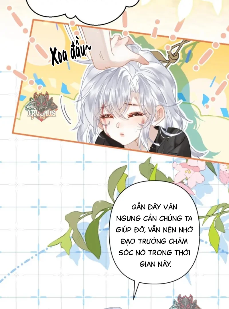 Đông Hải Tìm Mỹ Nhân Chapter 57 - 52