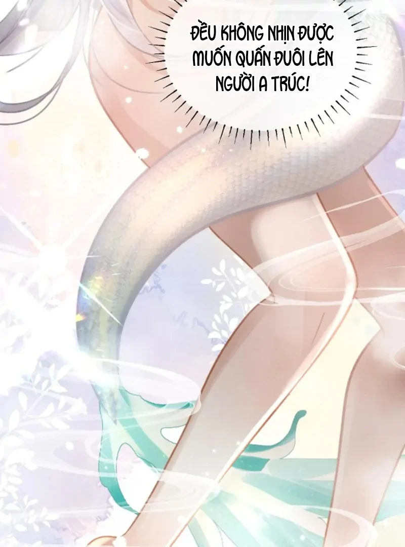 Đông Hải Tìm Mỹ Nhân Chapter 57 - 67