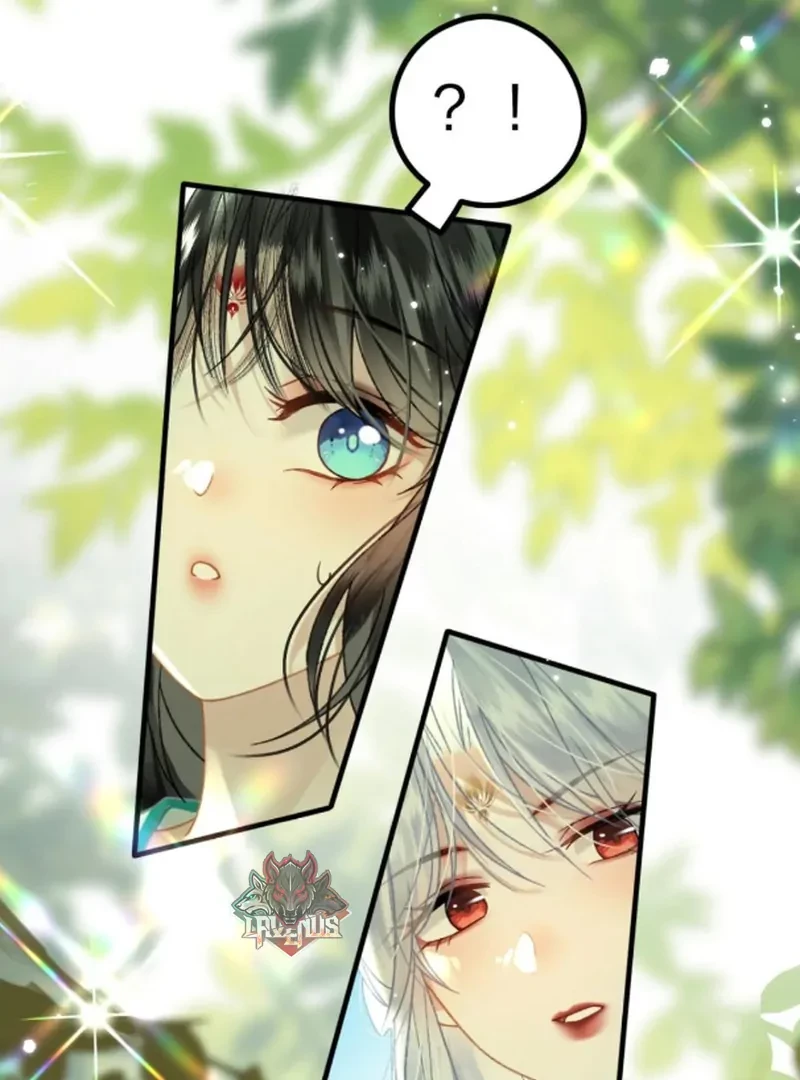 Đông Hải Tìm Mỹ Nhân Chapter 57 - 71