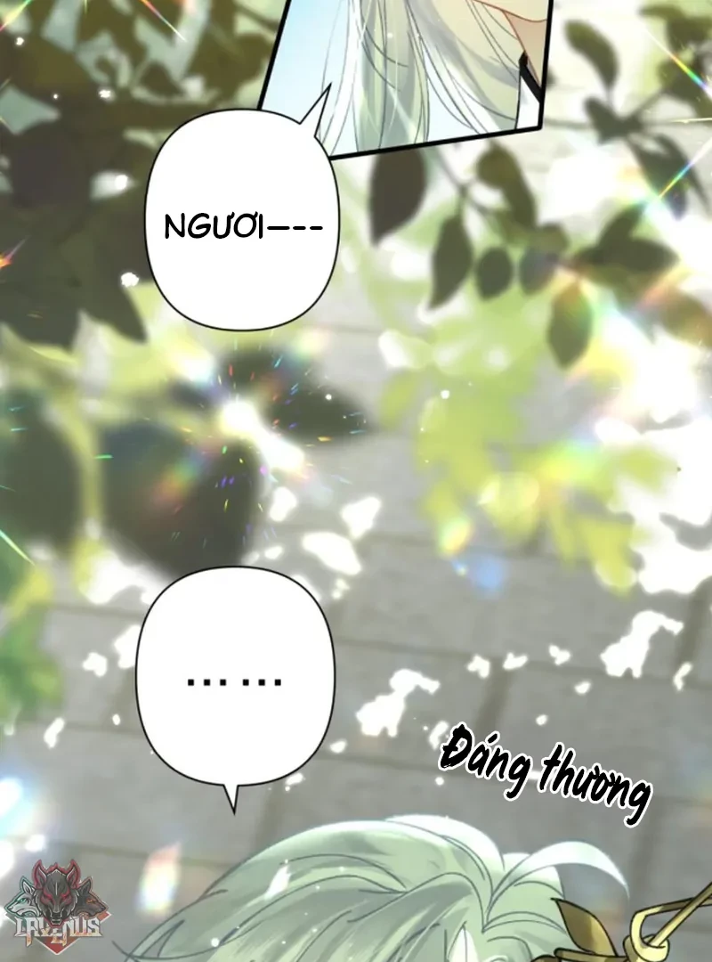 Đông Hải Tìm Mỹ Nhân Chapter 57 - 72