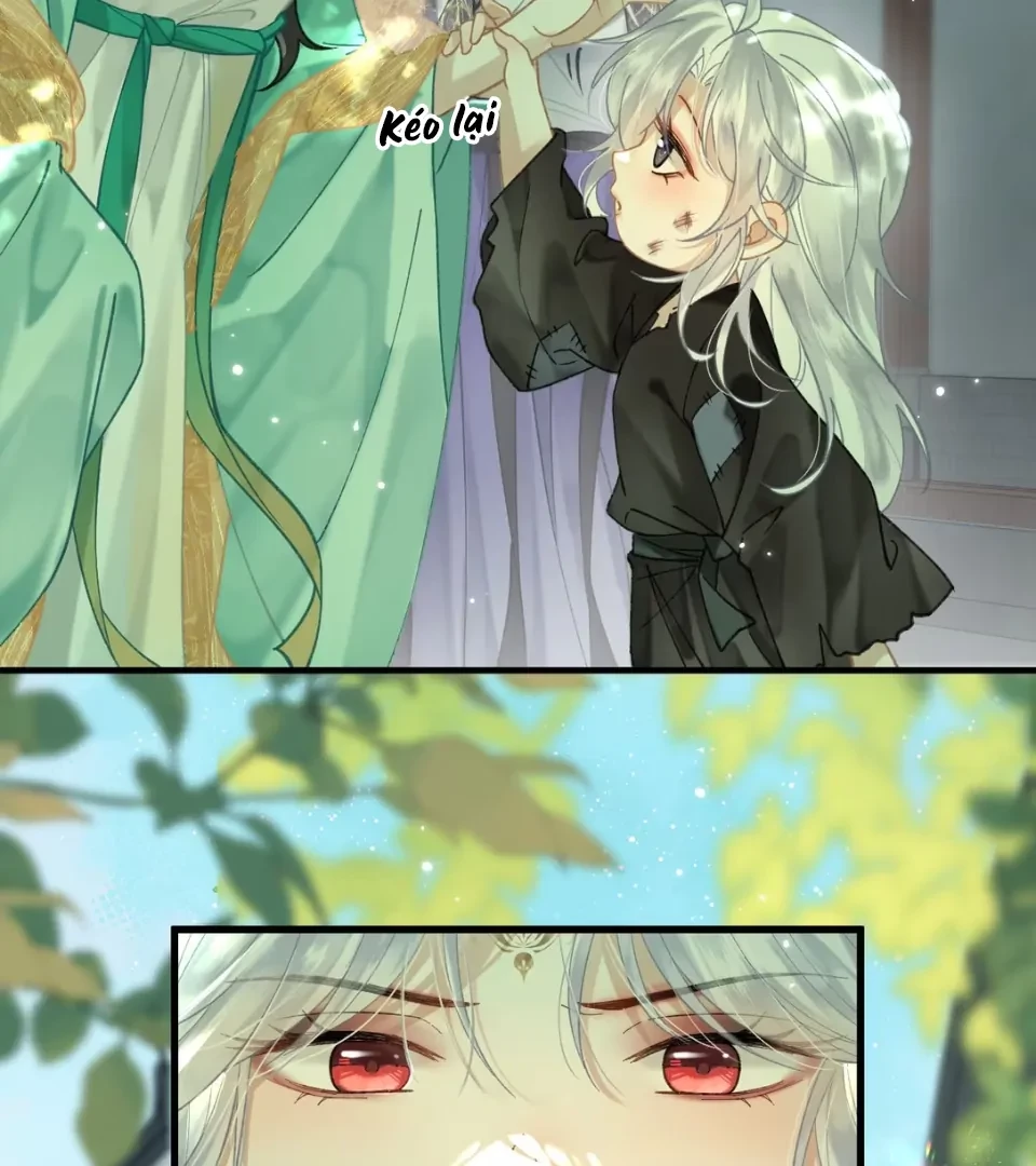 Đông Hải Tìm Mỹ Nhân Chapter 58 - 9