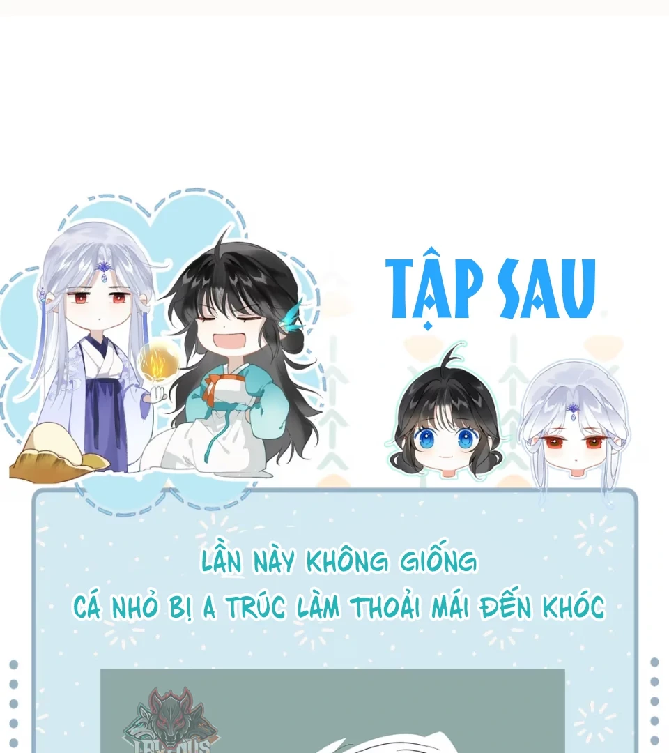 Đông Hải Tìm Mỹ Nhân Chapter 58 - 82