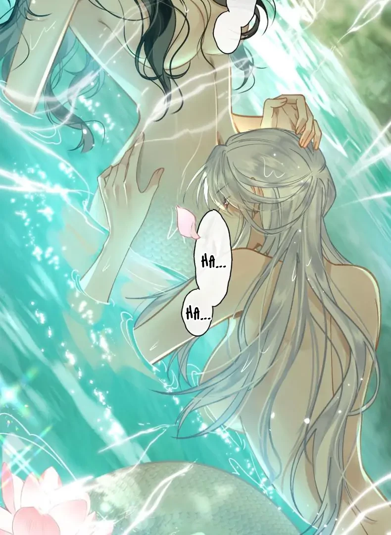 Đông Hải Tìm Mỹ Nhân Chapter 59 - 35