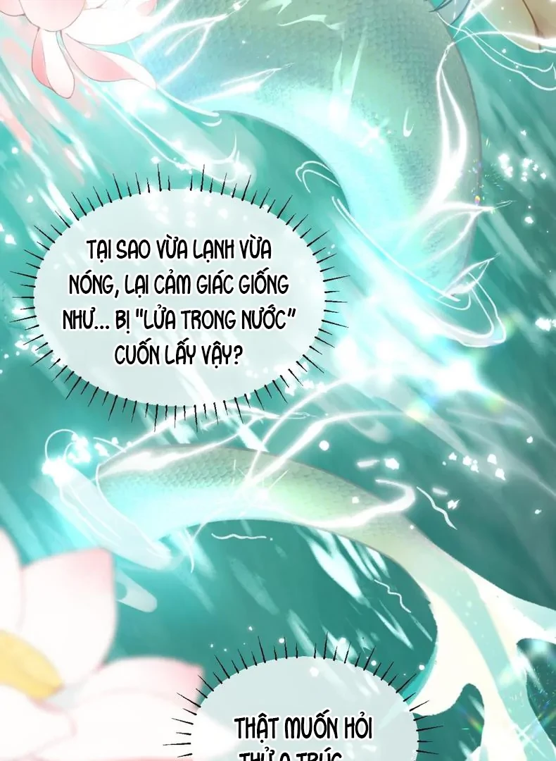 Đông Hải Tìm Mỹ Nhân Chapter 59 - 36