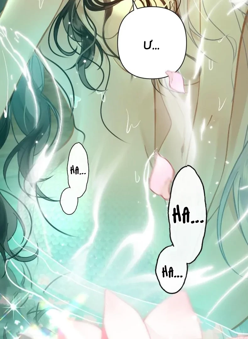 Đông Hải Tìm Mỹ Nhân Chapter 59 - 44