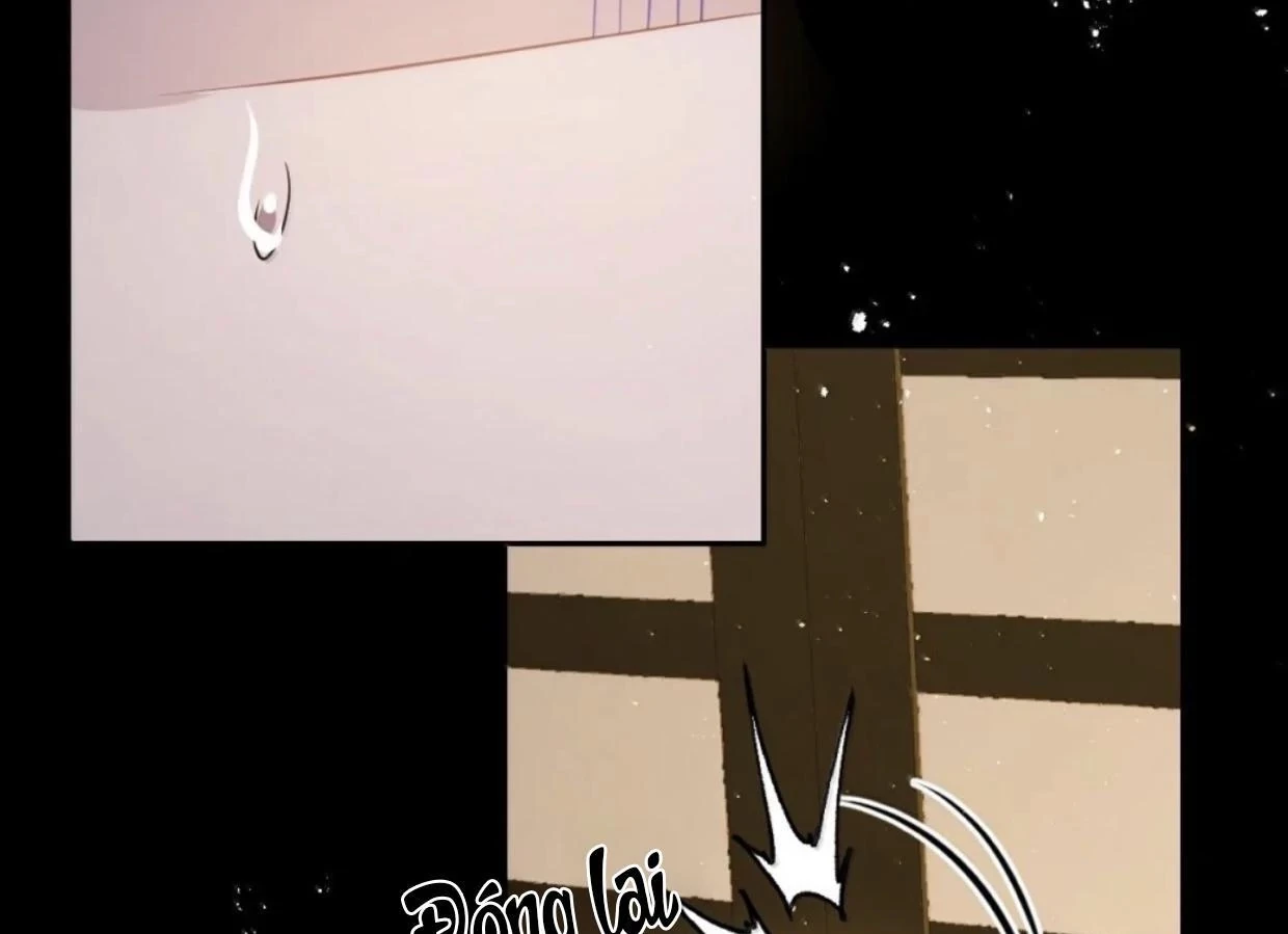 Nuông Chiều Mỹ Nhân Cuồng Nhiệt Chapter 65 - 52