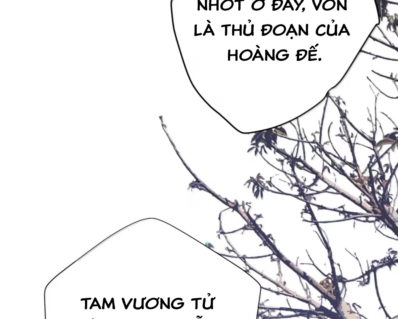 Nuông Chiều Mỹ Nhân Cuồng Nhiệt Chapter 70 - 12