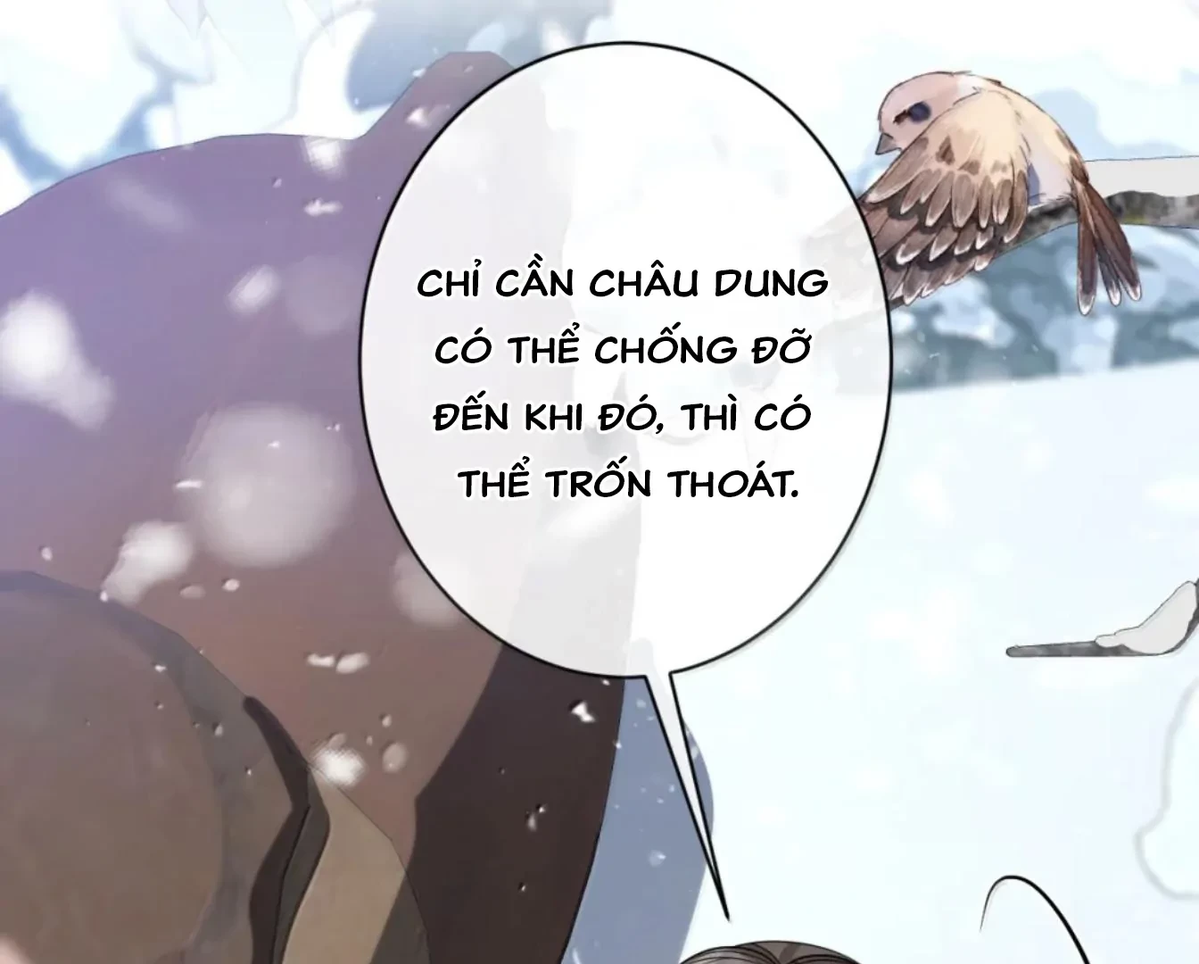 Nuông Chiều Mỹ Nhân Cuồng Nhiệt Chapter 70 - 20