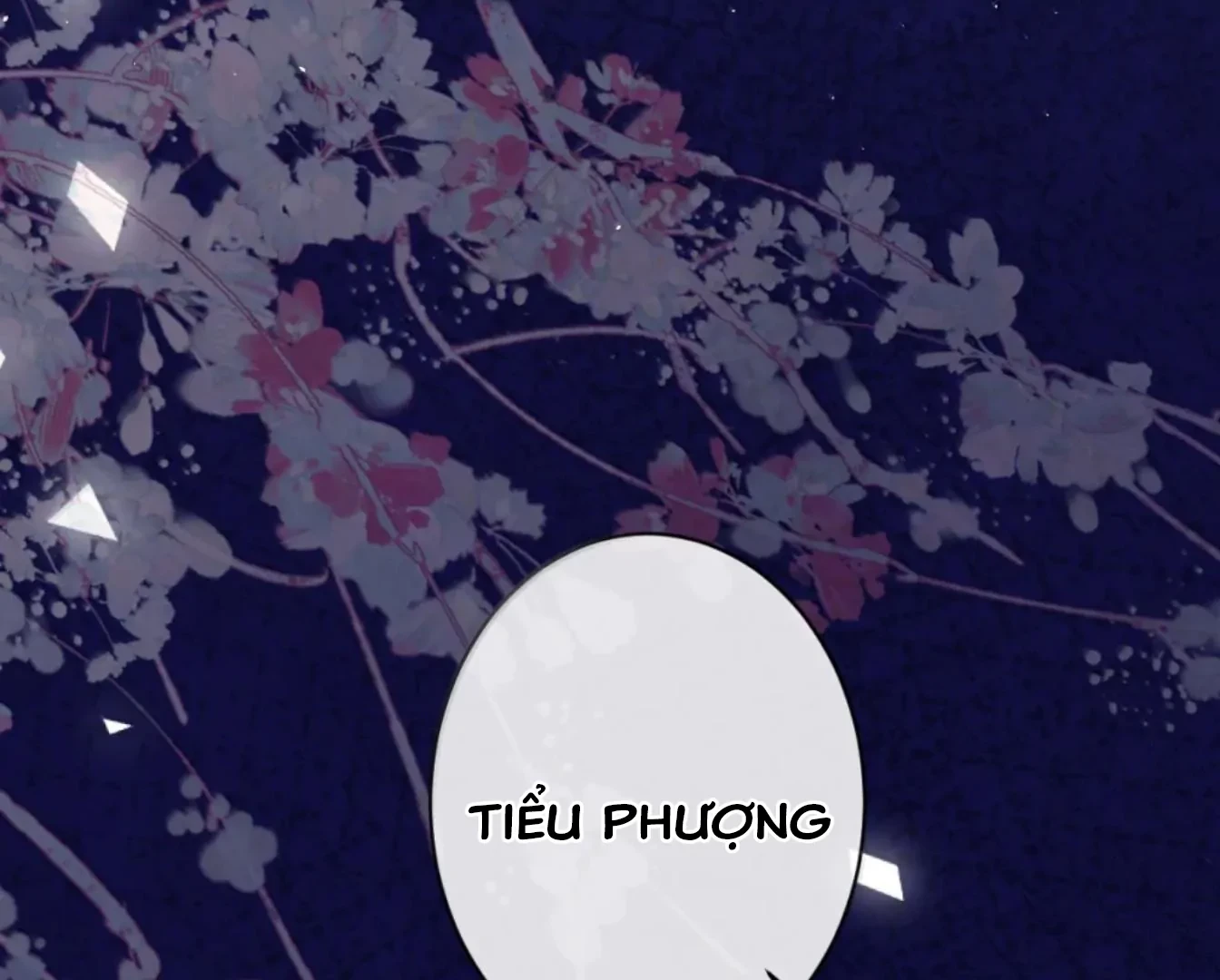 Nuông Chiều Mỹ Nhân Cuồng Nhiệt Chapter 70 - 73