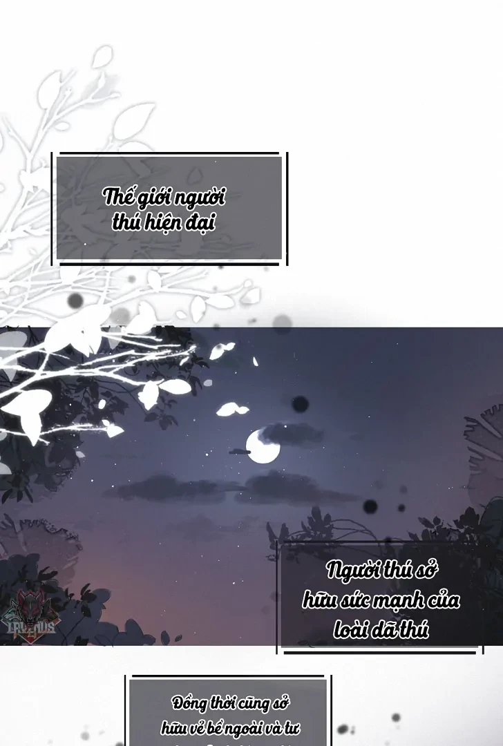 Sói Tiểu Thư Và Em Gái Hồ Ly Của Tôi Chapter 1 - 1