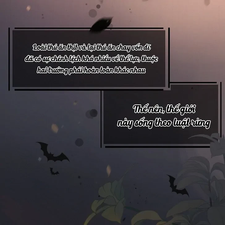 Sói Tiểu Thư Và Em Gái Hồ Ly Của Tôi Chapter 1 - 4