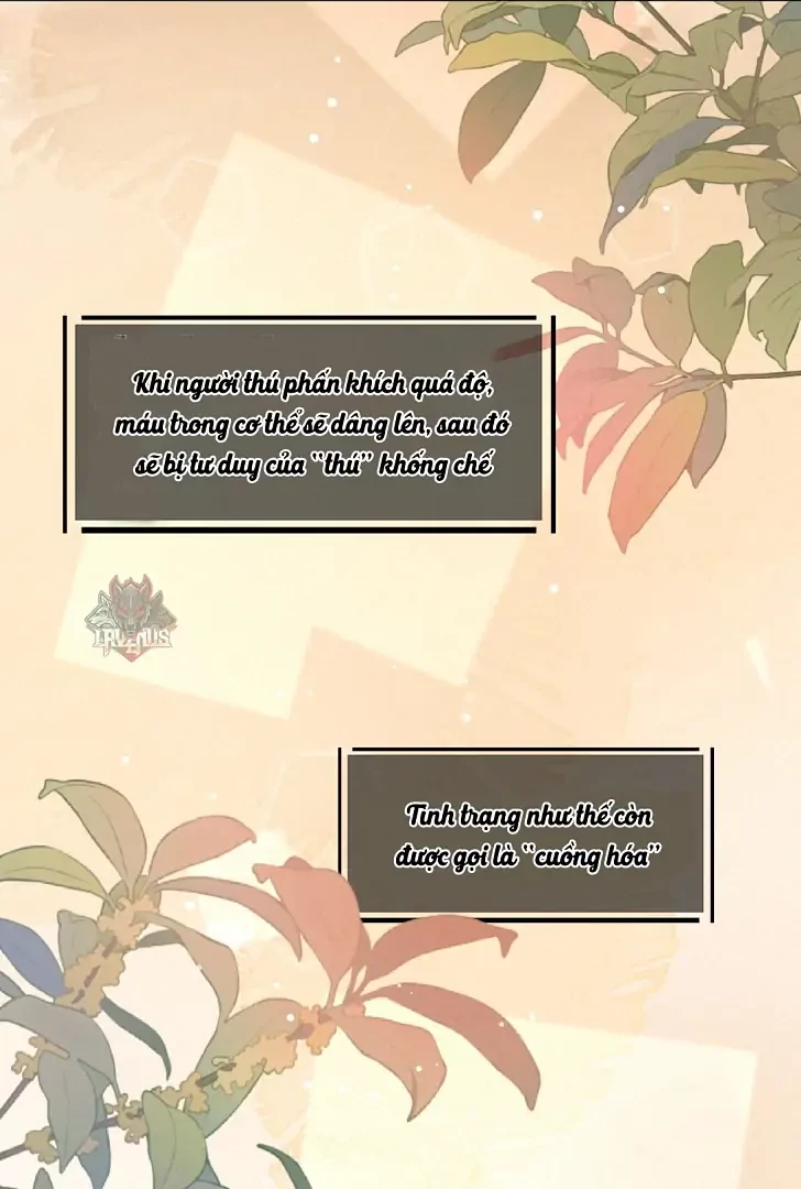 Sói Tiểu Thư Và Em Gái Hồ Ly Của Tôi Chapter 1 - 16