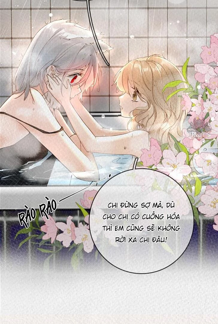 Sói Tiểu Thư Và Em Gái Hồ Ly Của Tôi Chapter 1 - 27