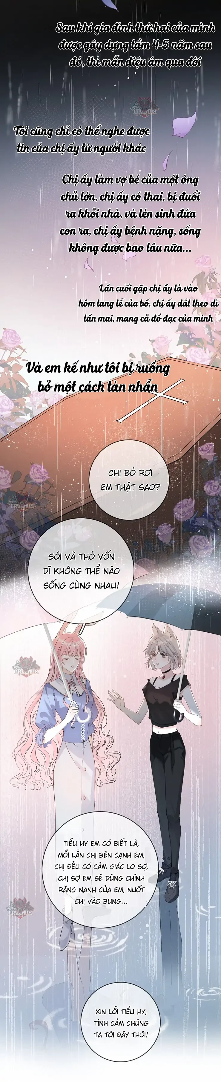 Sói Tiểu Thư Và Em Gái Hồ Ly Của Tôi Chapter 2 - 28