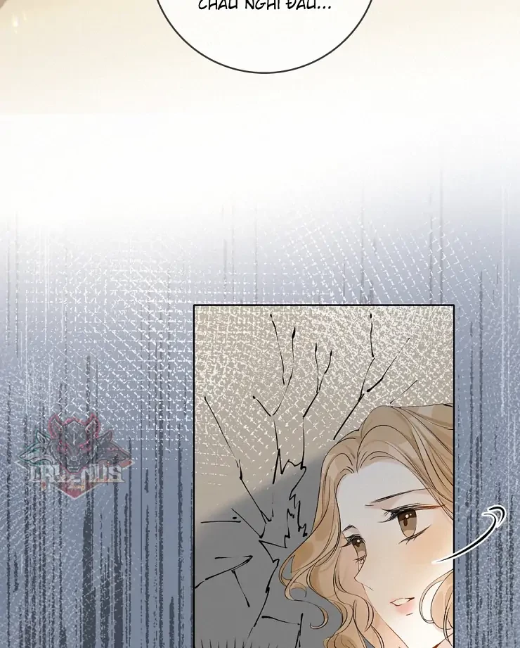 Sói Tiểu Thư Và Em Gái Hồ Ly Của Tôi Chapter 3 - 19