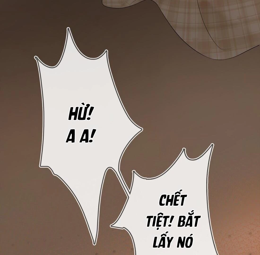 Sói Tiểu Thư Và Em Gái Hồ Ly Của Tôi Chapter 4 - 19