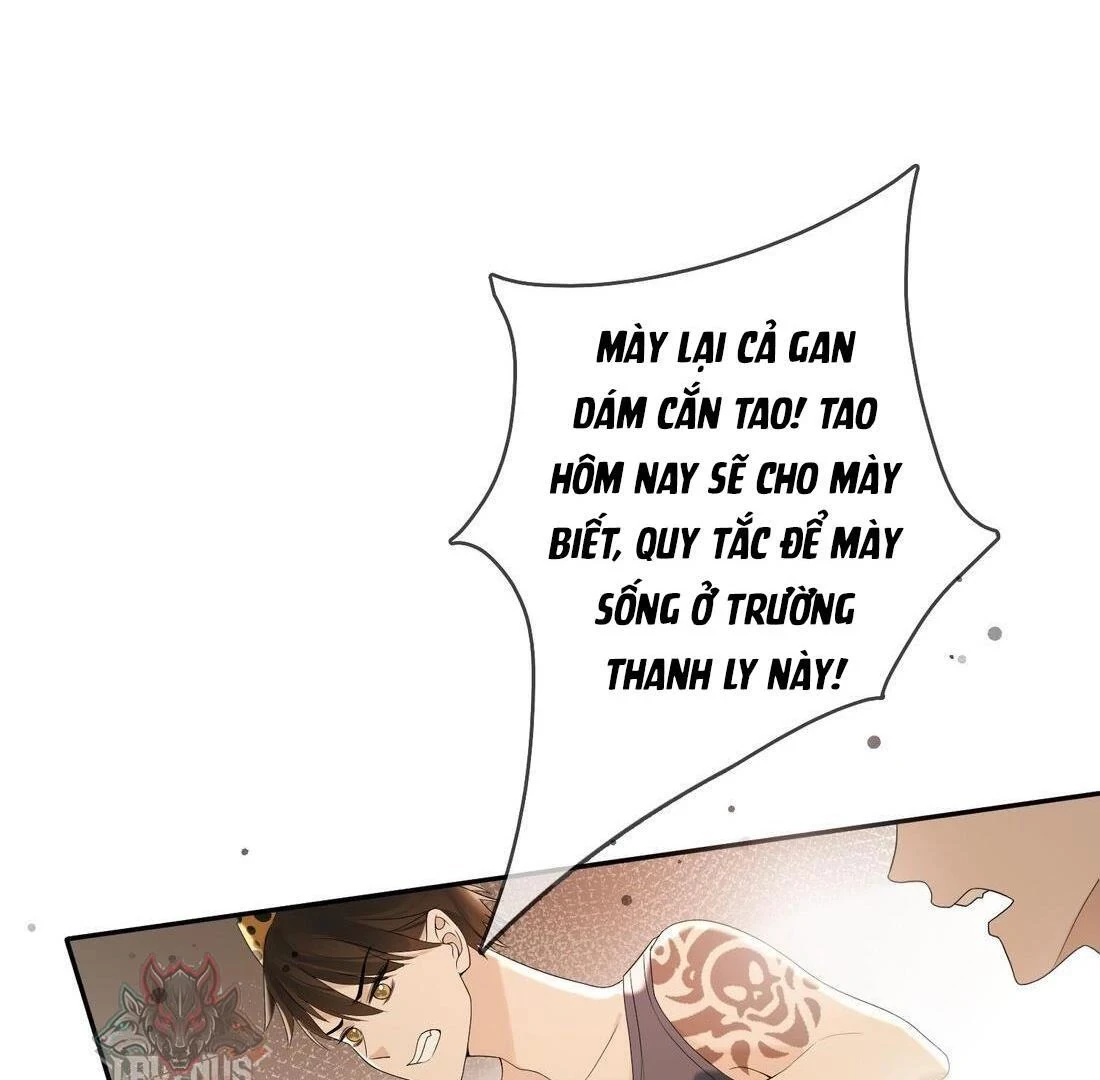 Sói Tiểu Thư Và Em Gái Hồ Ly Của Tôi Chapter 4 - 22