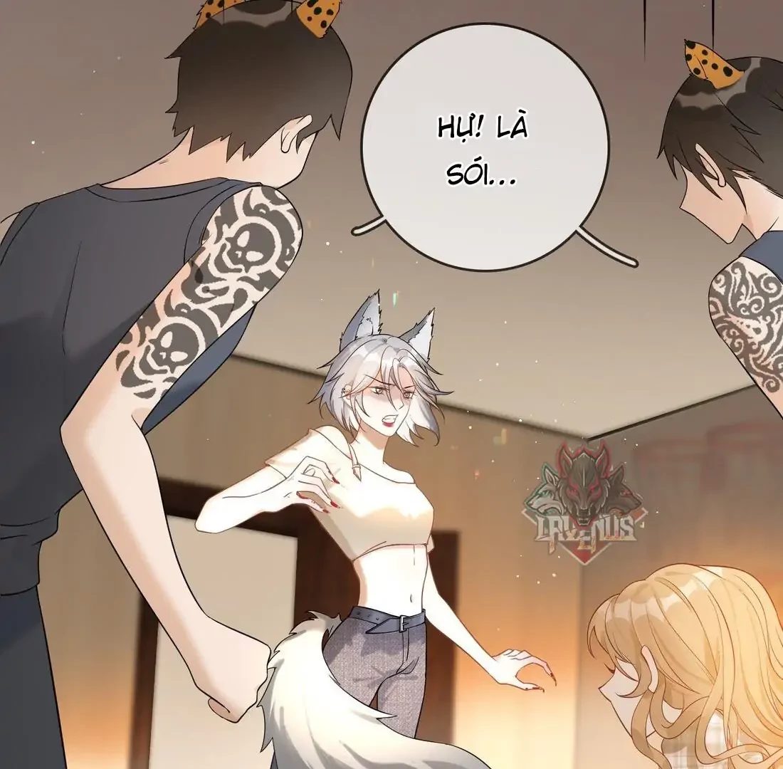 Sói Tiểu Thư Và Em Gái Hồ Ly Của Tôi Chapter 4 - 39