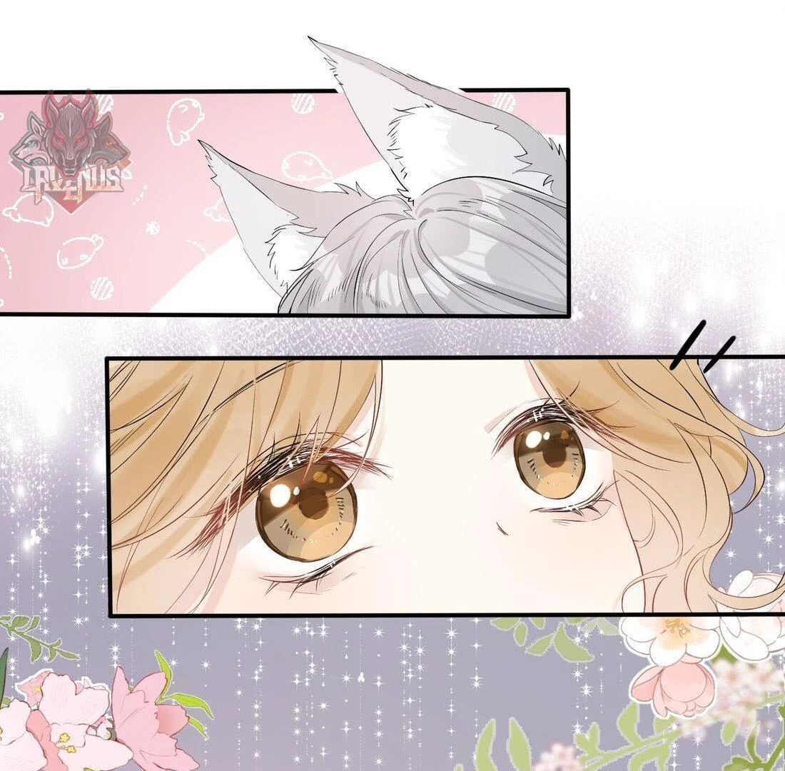 Sói Tiểu Thư Và Em Gái Hồ Ly Của Tôi Chapter 4 - 46