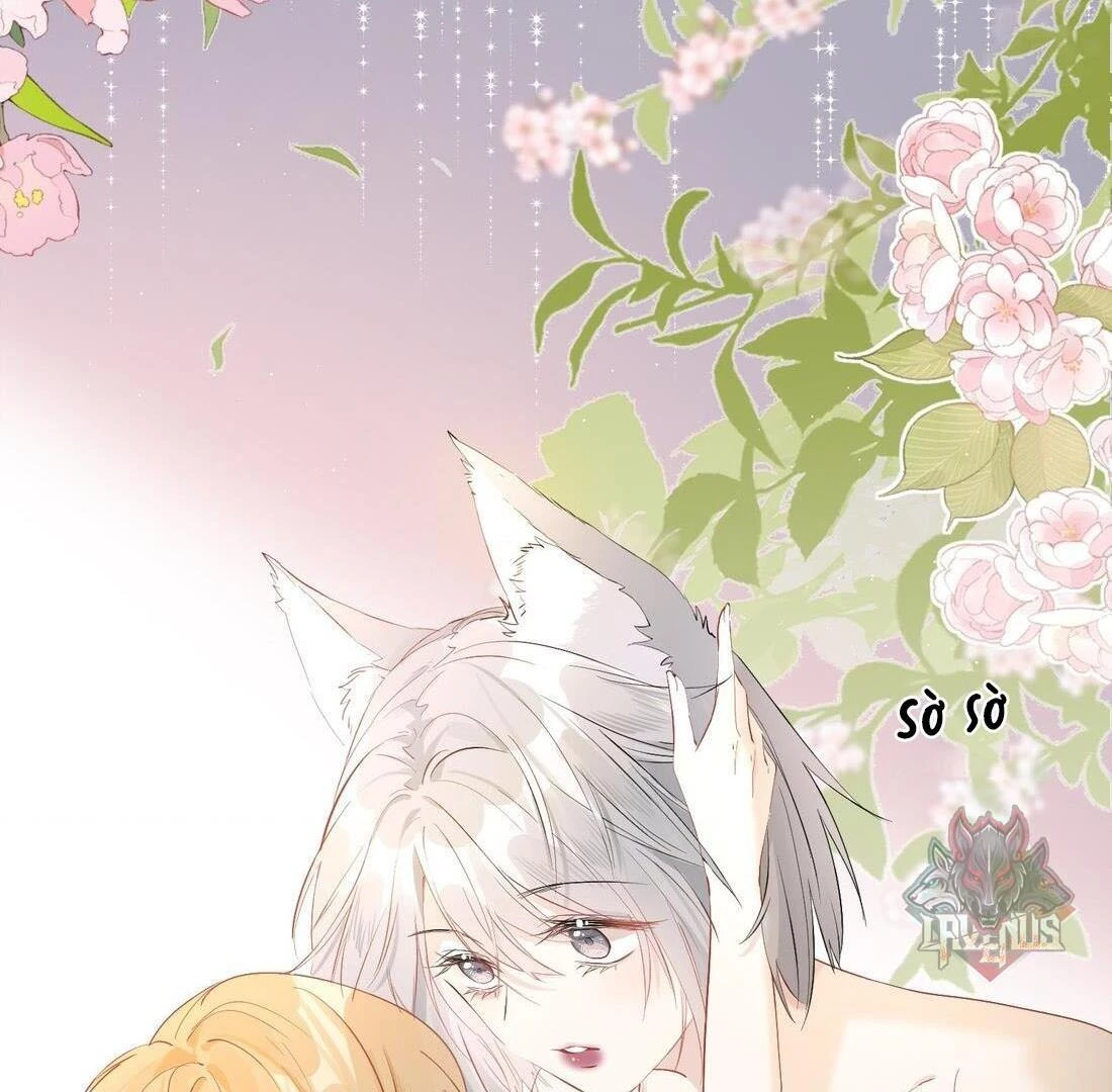 Sói Tiểu Thư Và Em Gái Hồ Ly Của Tôi Chapter 4 - 47