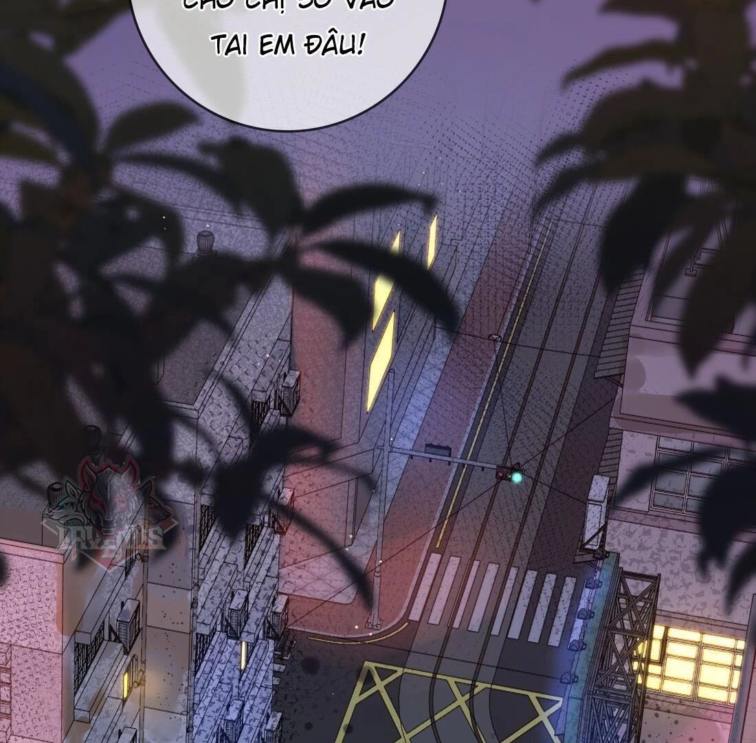 Sói Tiểu Thư Và Em Gái Hồ Ly Của Tôi Chapter 5 - 21