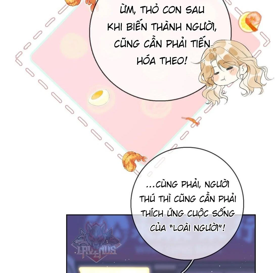 Sói Tiểu Thư Và Em Gái Hồ Ly Của Tôi Chapter 5 - 36