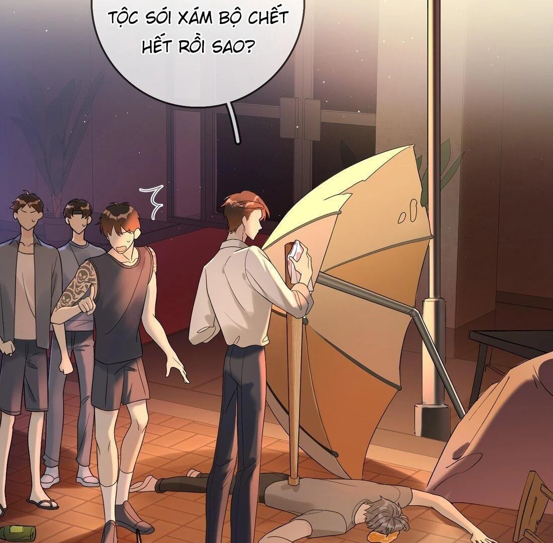 Sói Tiểu Thư Và Em Gái Hồ Ly Của Tôi Chapter 5 - 43