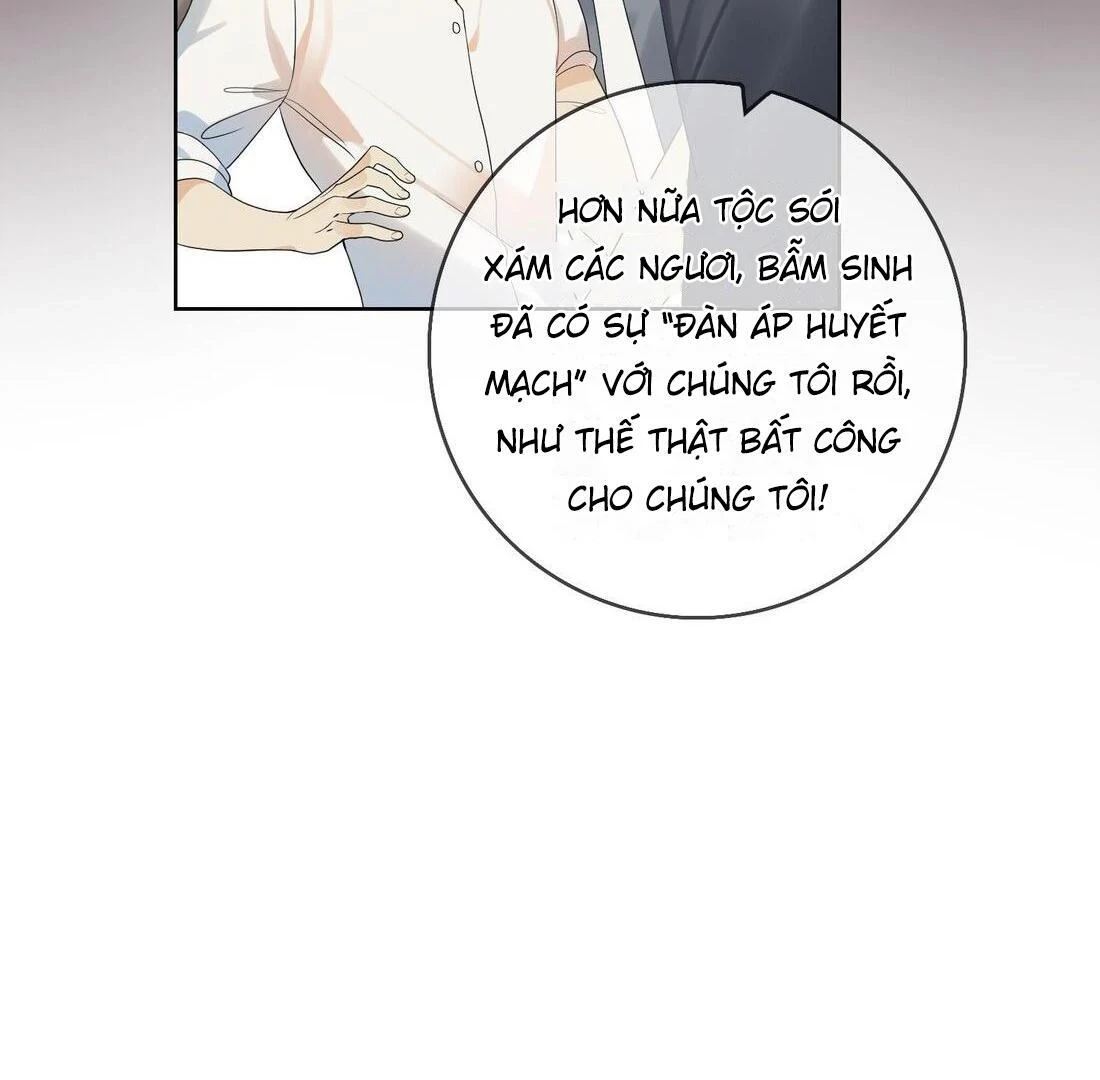 Sói Tiểu Thư Và Em Gái Hồ Ly Của Tôi Chapter 5 - 50