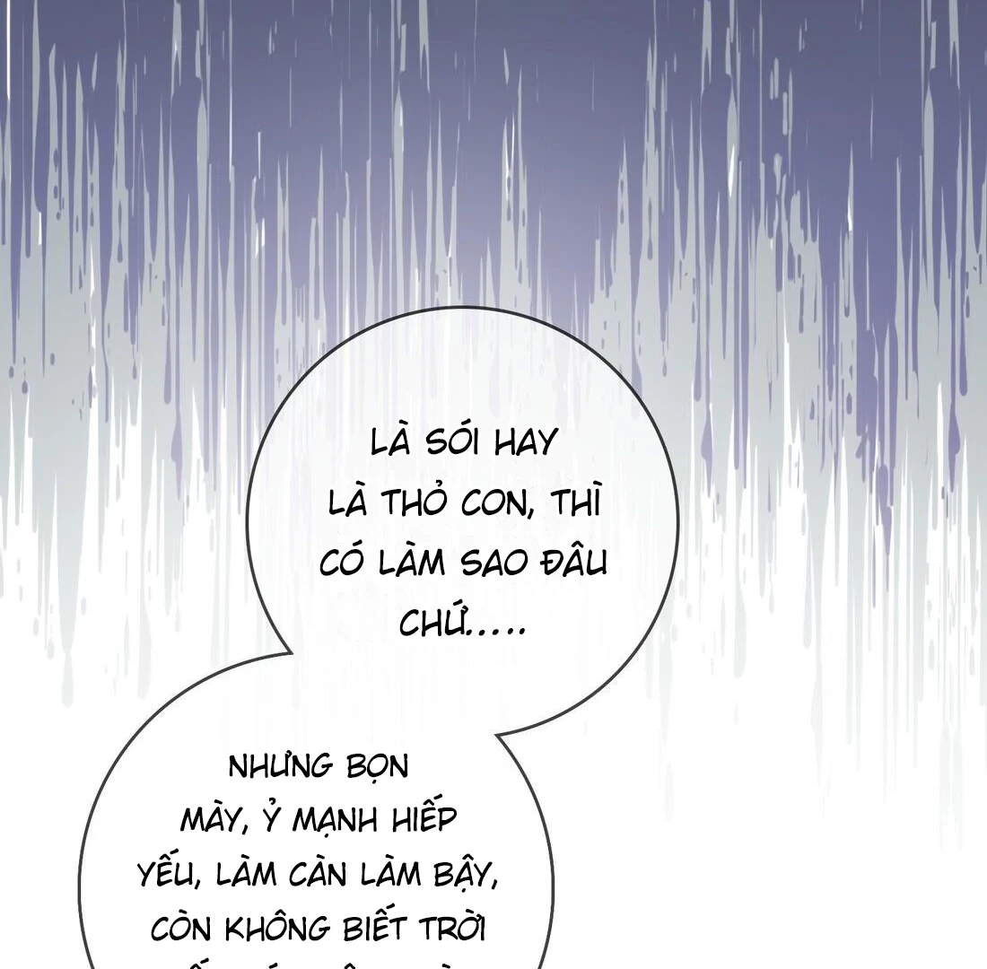 Sói Tiểu Thư Và Em Gái Hồ Ly Của Tôi Chapter 6 - 13