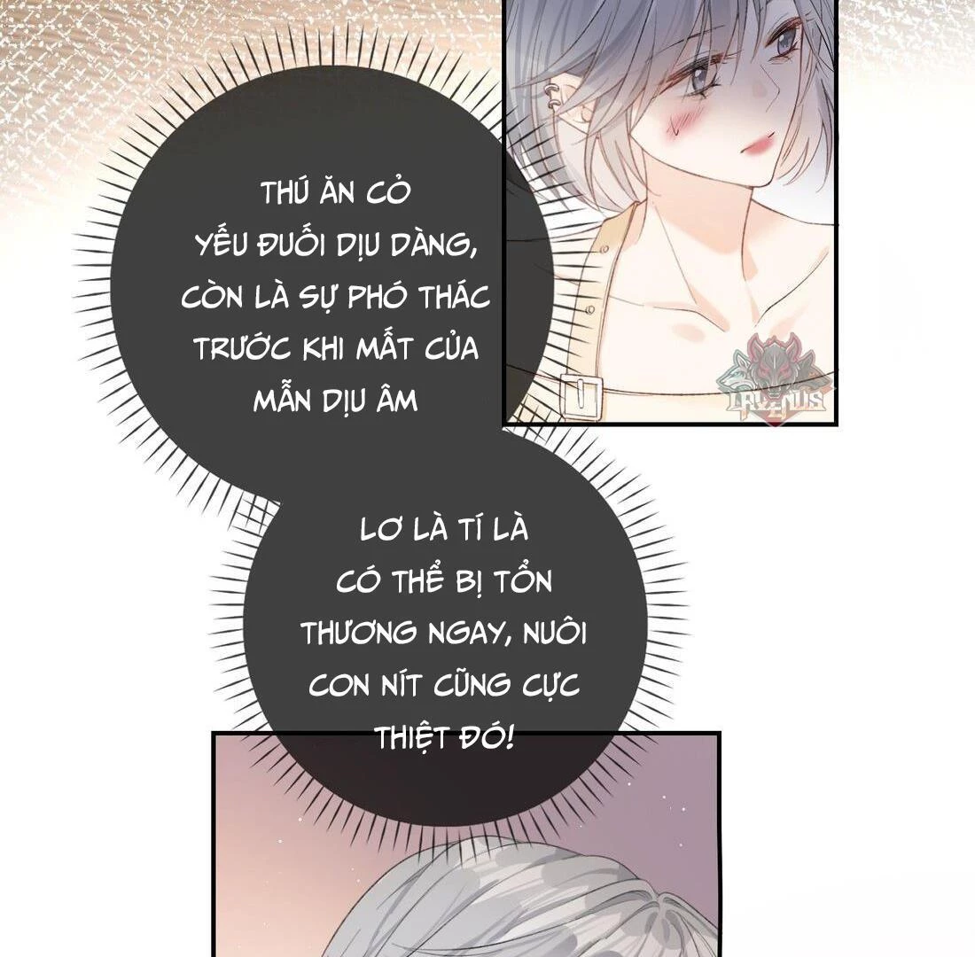 Sói Tiểu Thư Và Em Gái Hồ Ly Của Tôi Chapter 6 - 39
