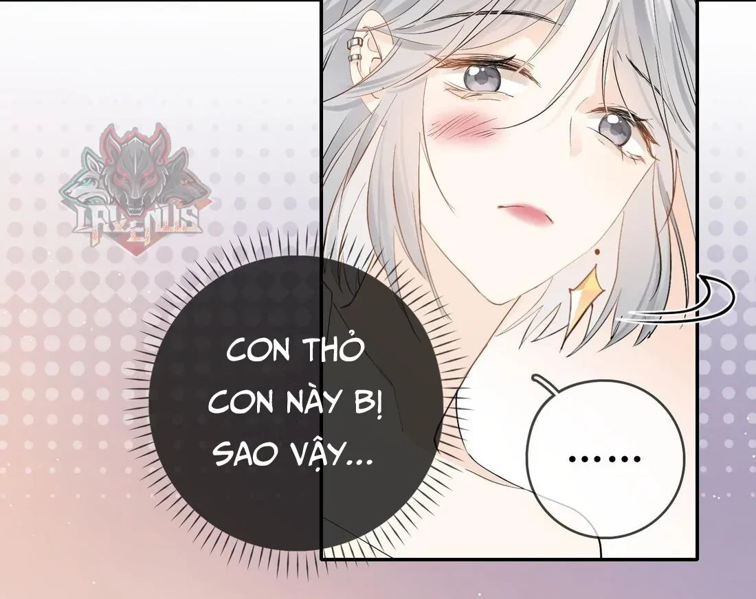 Sói Tiểu Thư Và Em Gái Hồ Ly Của Tôi Chapter 6 - 48