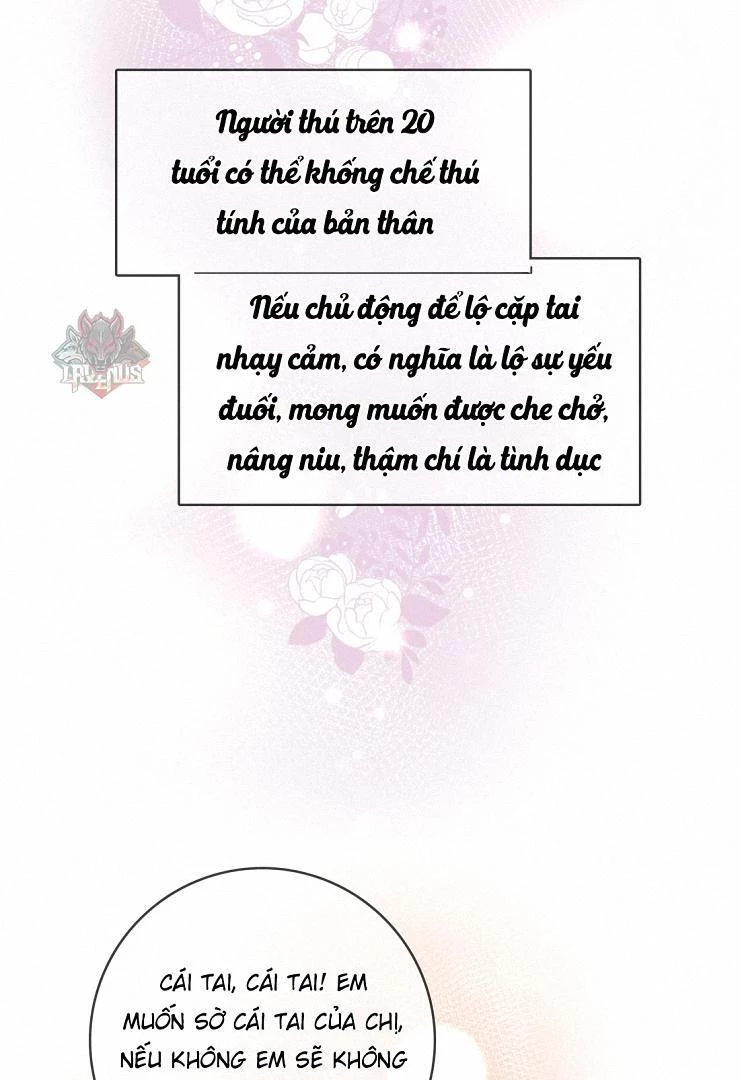 Sói Tiểu Thư Và Em Gái Hồ Ly Của Tôi Chapter 8 - 24