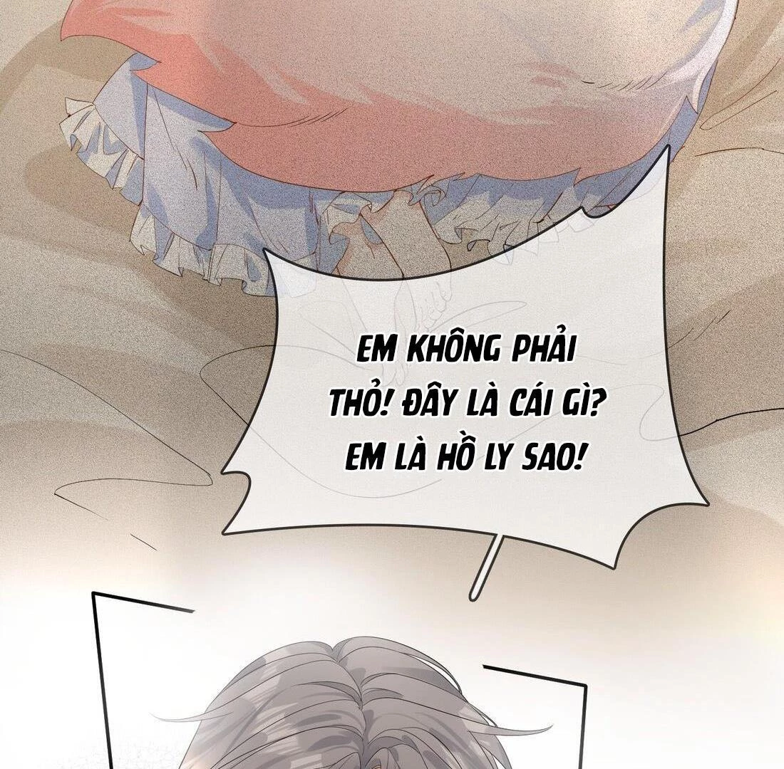 Sói Tiểu Thư Và Em Gái Hồ Ly Của Tôi Chapter 9 - 4