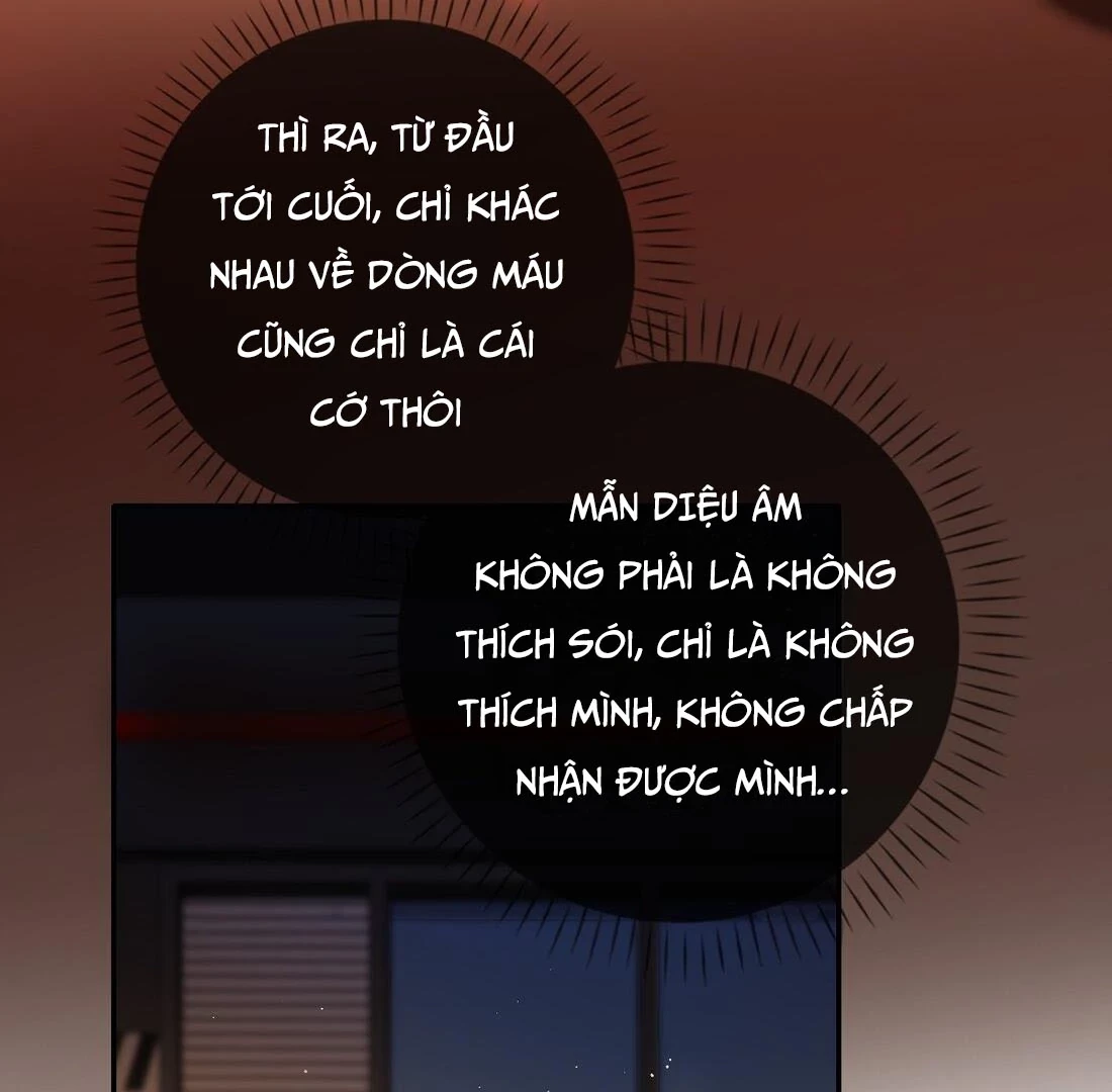 Sói Tiểu Thư Và Em Gái Hồ Ly Của Tôi Chapter 9 - 19