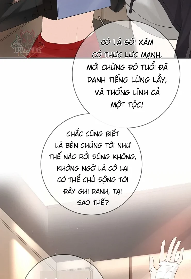 Sói Tiểu Thư Và Em Gái Hồ Ly Của Tôi Chapter 10 - 29