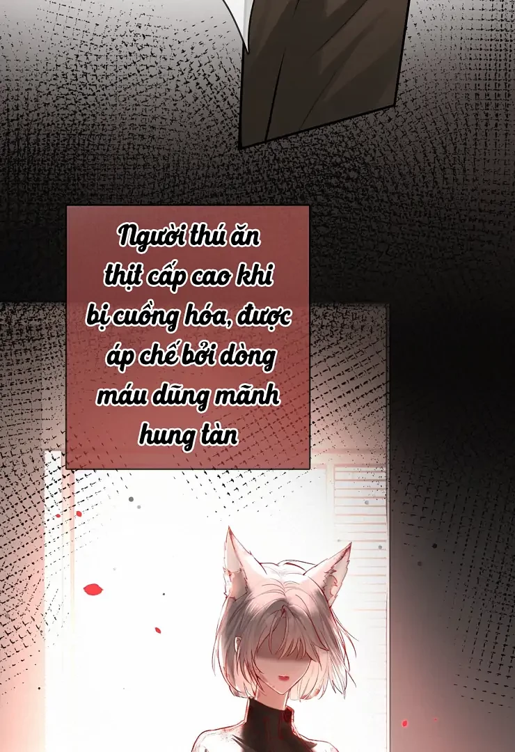 Sói Tiểu Thư Và Em Gái Hồ Ly Của Tôi Chapter 11 - 23